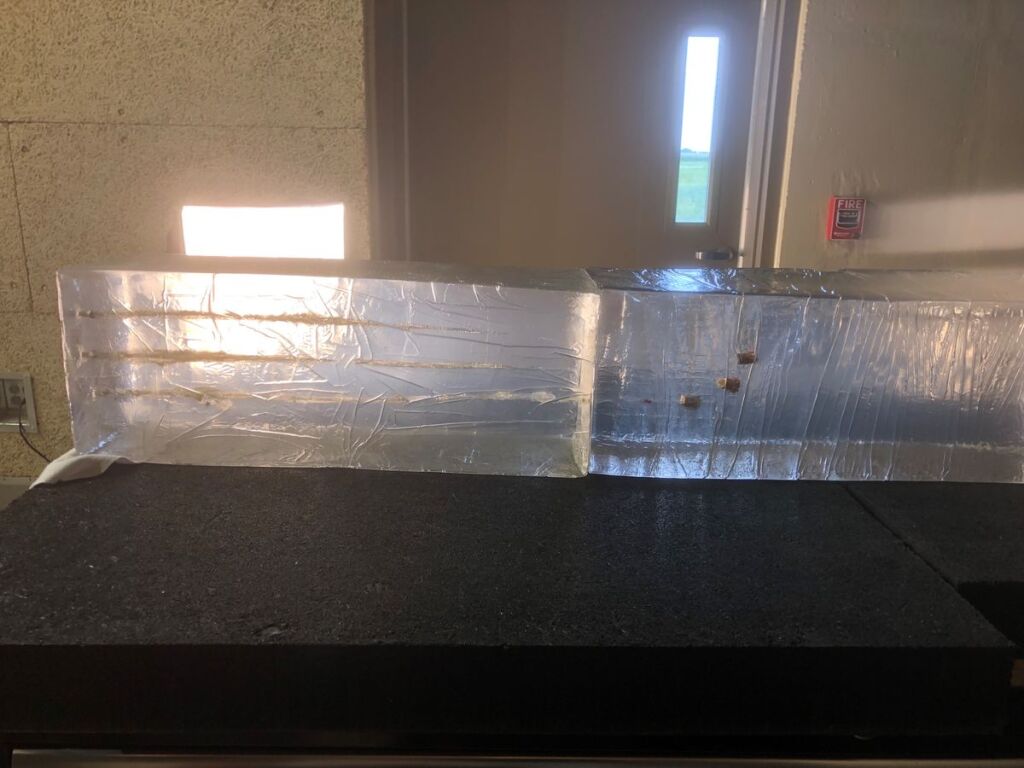 Ballistic Gel
